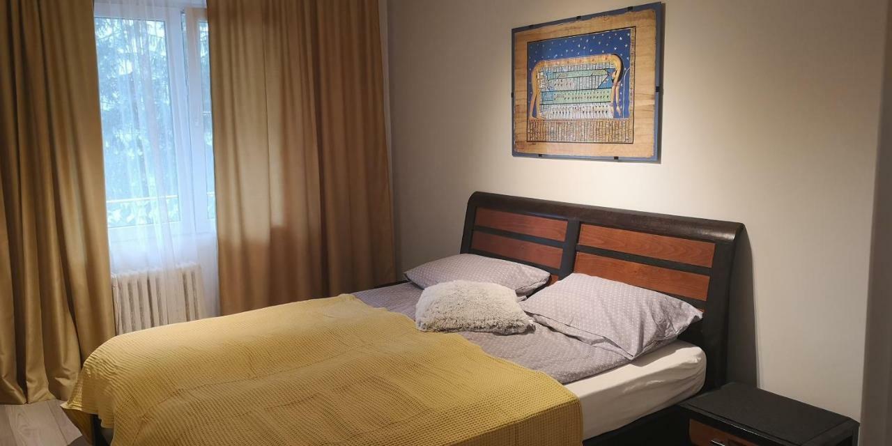 Green Apartament Διαμέρισμα Sovata Εξωτερικό φωτογραφία